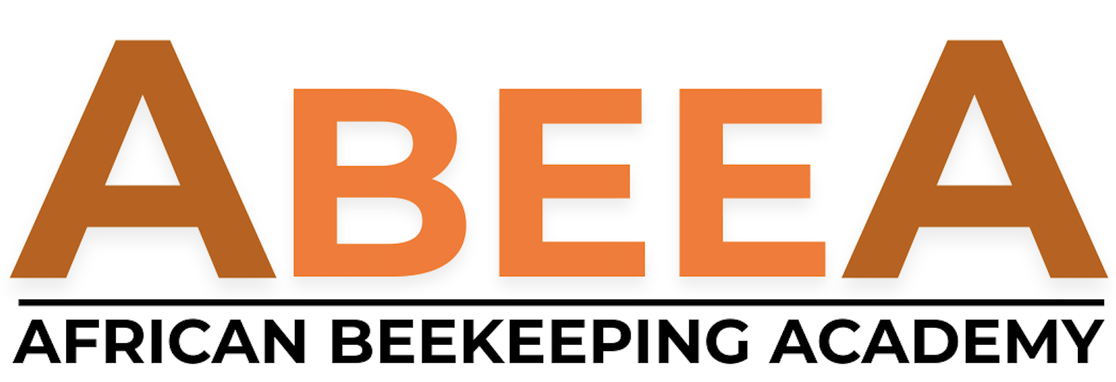 African Beekeeping Academy